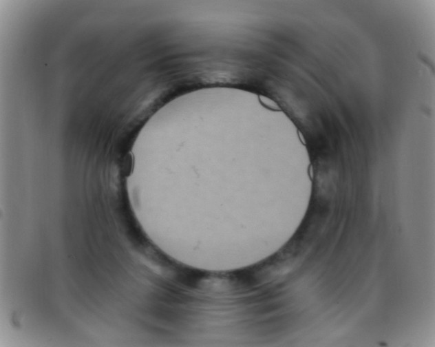 X0000097510211200803142048