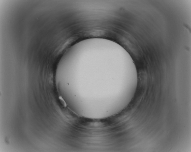 X0000097510212200803142048