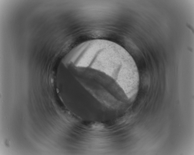 X0000097510214200803142048
