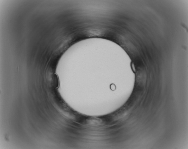 X0000097510215200803142048