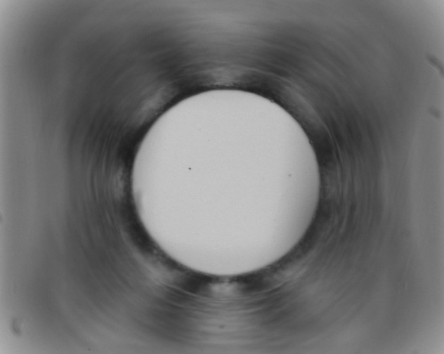 X0000097510216200803142048