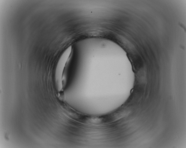 X0000097510217200803142048