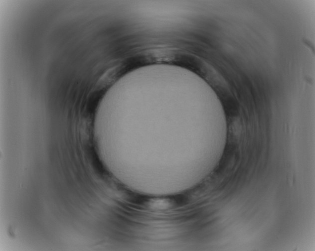 X0000097510218200803142048