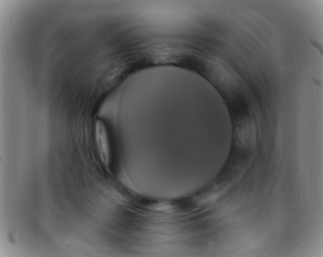 X0000097510219200803142048