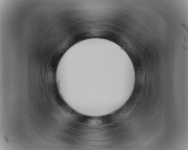 X0000097510220200803142048