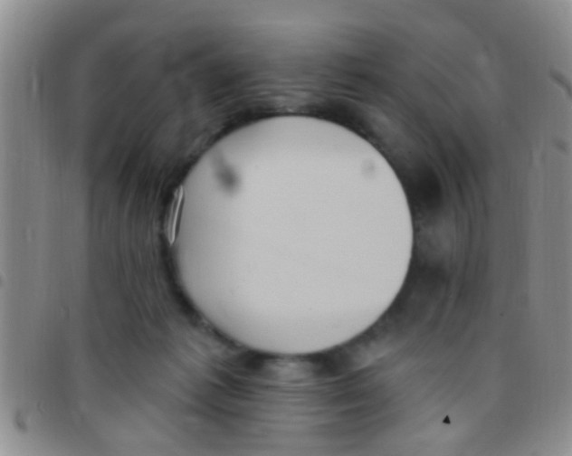 X0000097510221200803142048