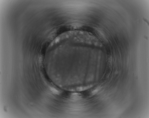 X0000097510222200803142048