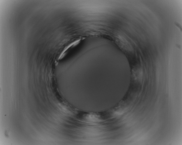 X0000097510223200803142048