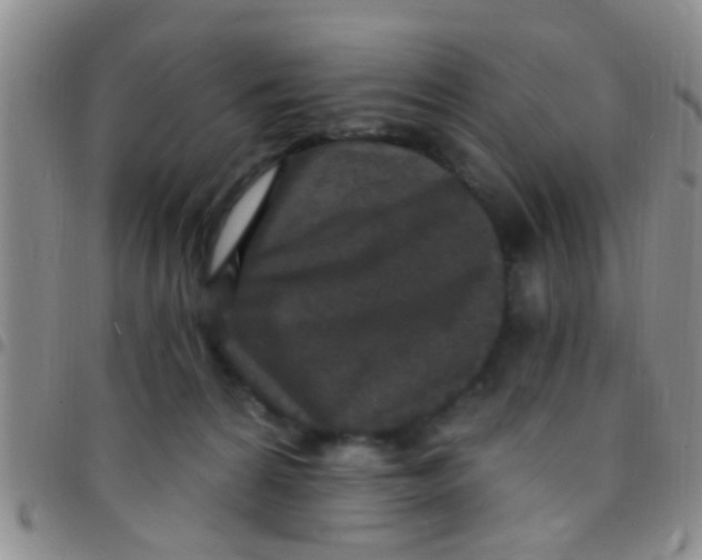 X0000097510224200803142048