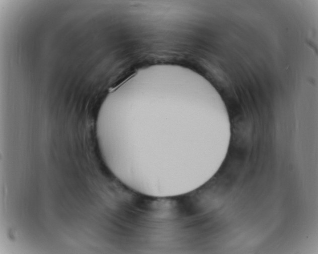 X0000097510225200803142048