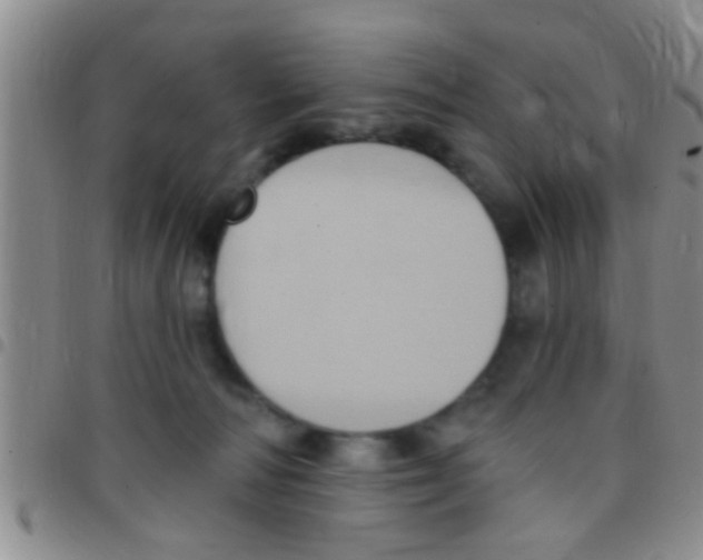 X0000097510226200803142048