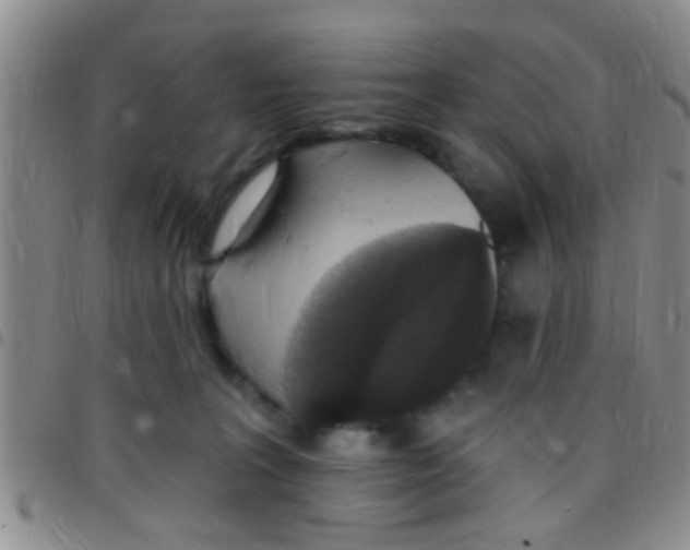 X0000097510227200803142048