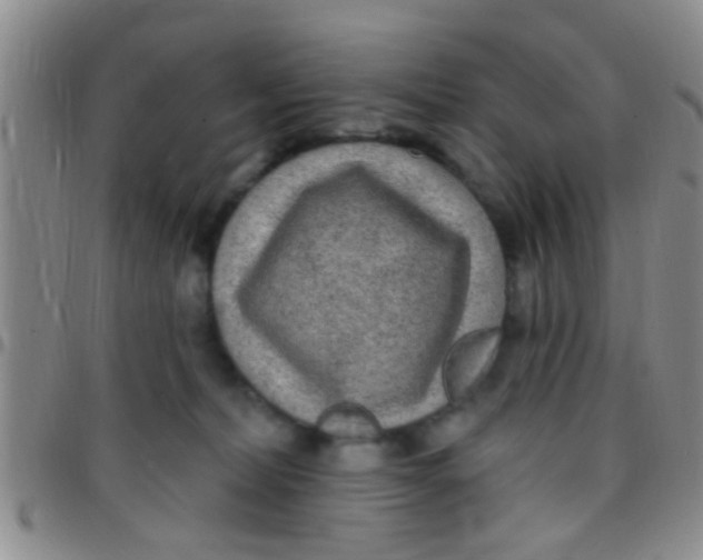 X0000097510228200803142048