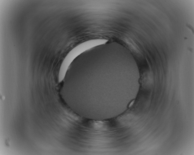 X0000097510229200803142048