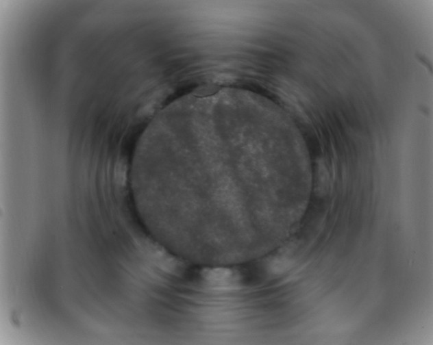 X0000097510230200803142048
