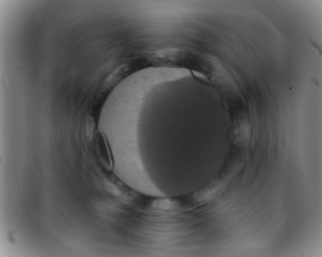 X0000097510231200803142048