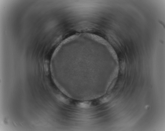 X0000097510232200803142048