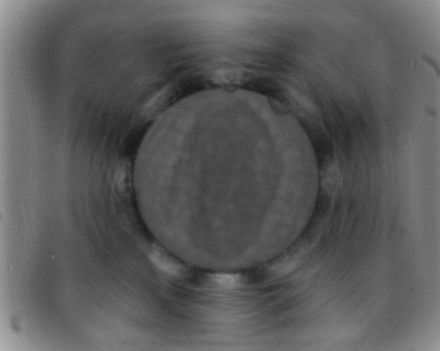 X0000097510233200803142048