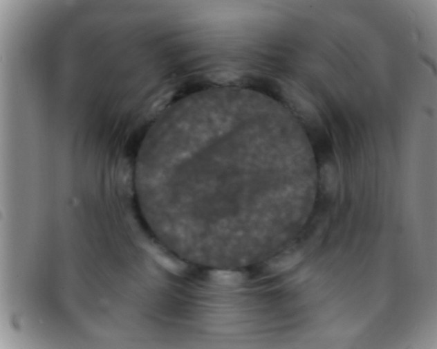 X0000097510234200803142048