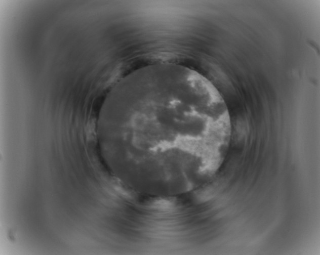 X0000097510236200803142048
