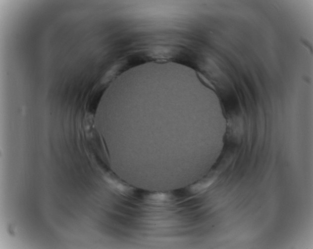 X0000097510237200803142048
