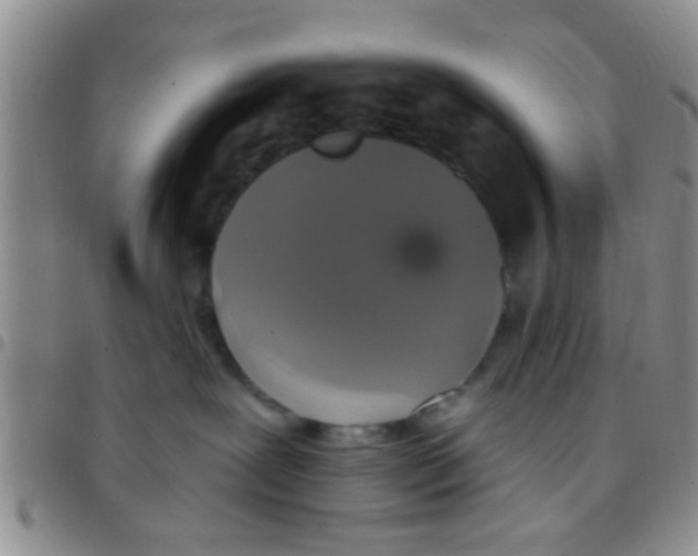 X0000097510239200803142048