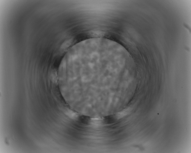 X0000097510240200803142048