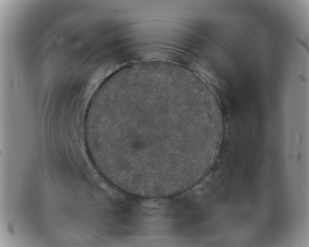 X0000097510241200803142047