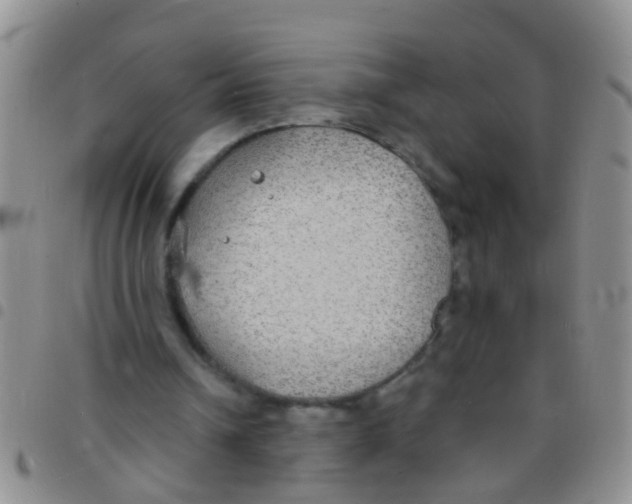 X0000097510242200803142047