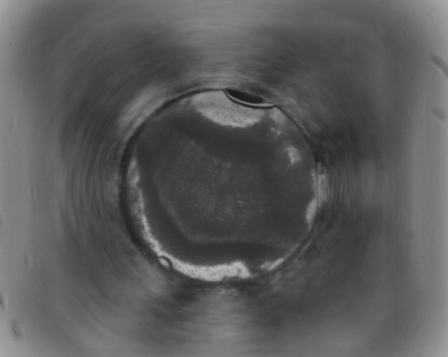 X0000097510243200803142047