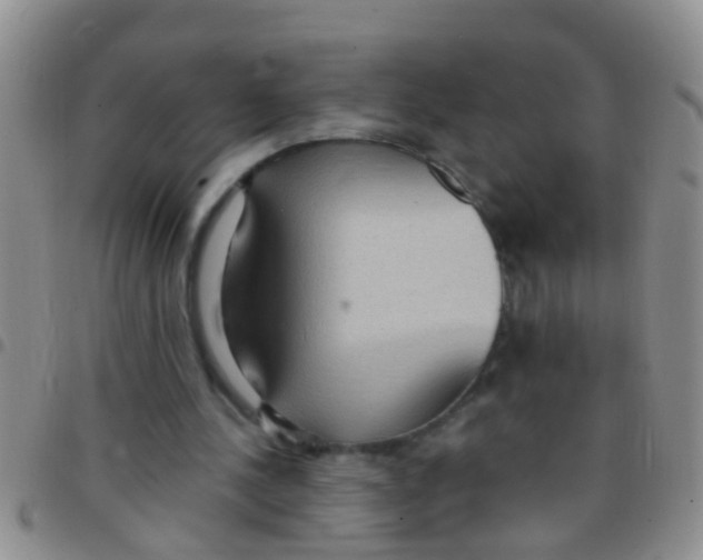 X0000097510244200803142047