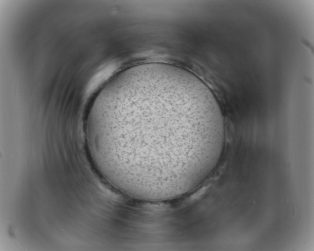 X0000097510245200803142047