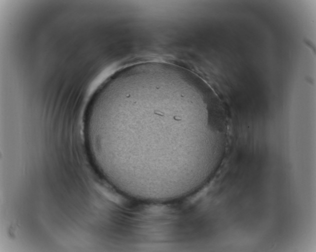 X0000097510246200803142047