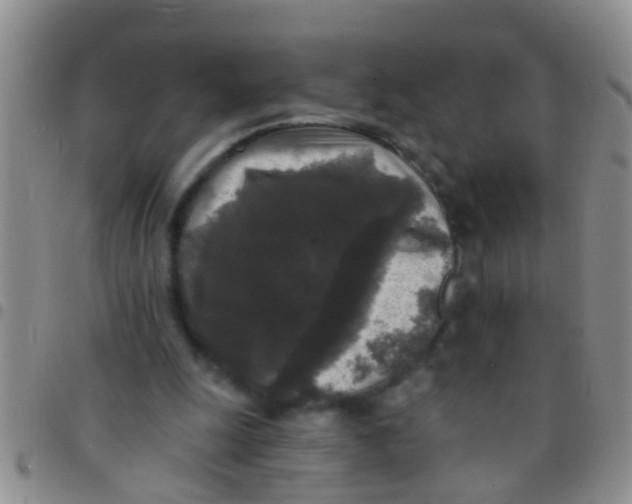 X0000097510247200803142047