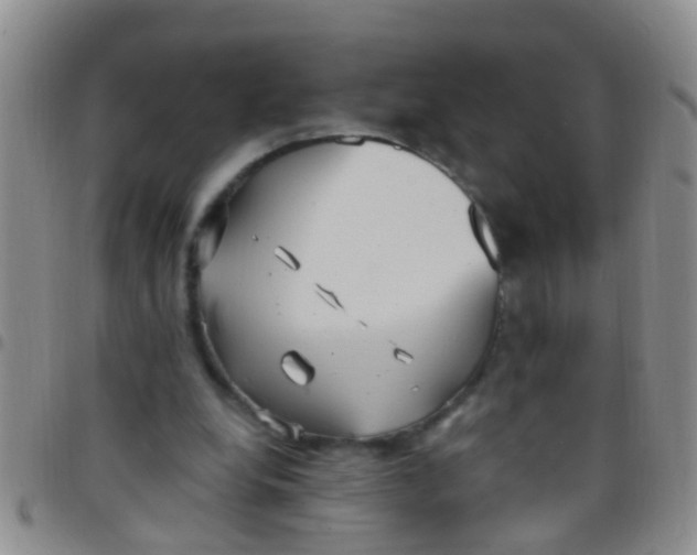 X0000097510248200803142047