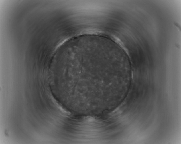 X0000097510249200803142047