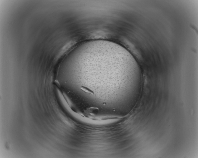 X0000097510250200803142047