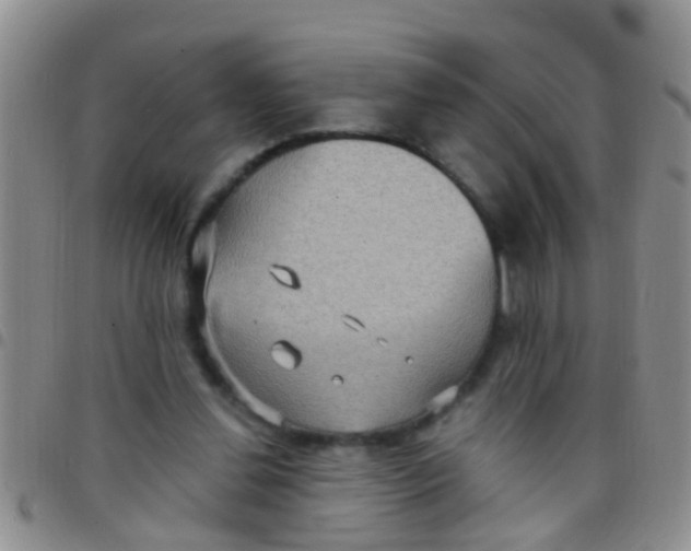 X0000097510252200803142047