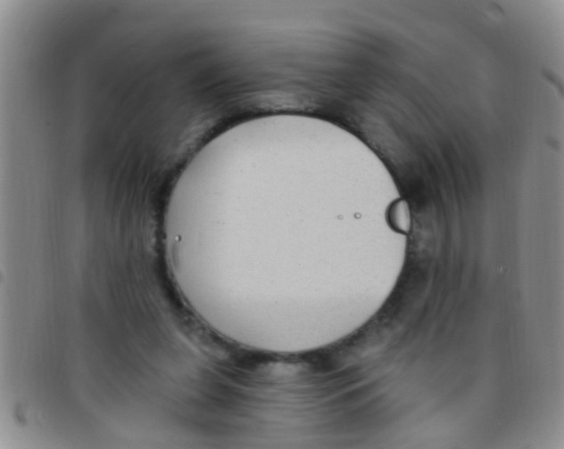 X0000097510255200803142047