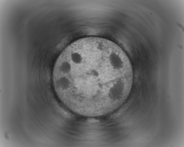 X0000097510257200803142048