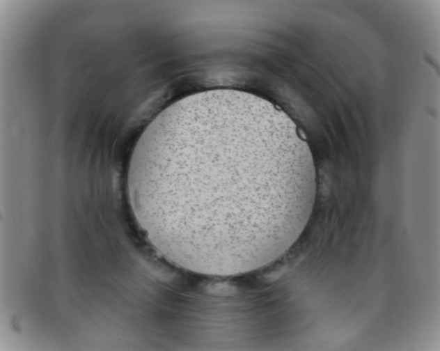 X0000097510258200803142048