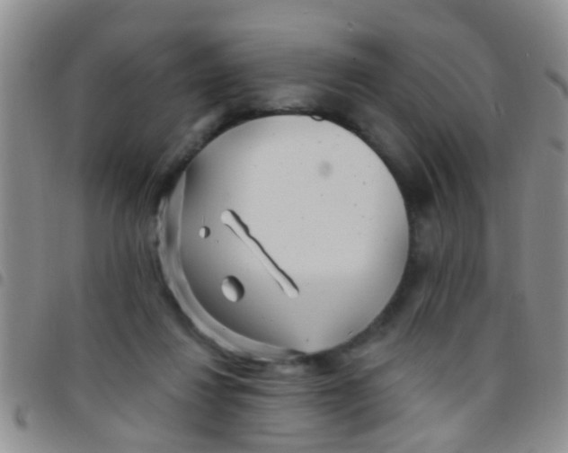 X0000097510260200803142048