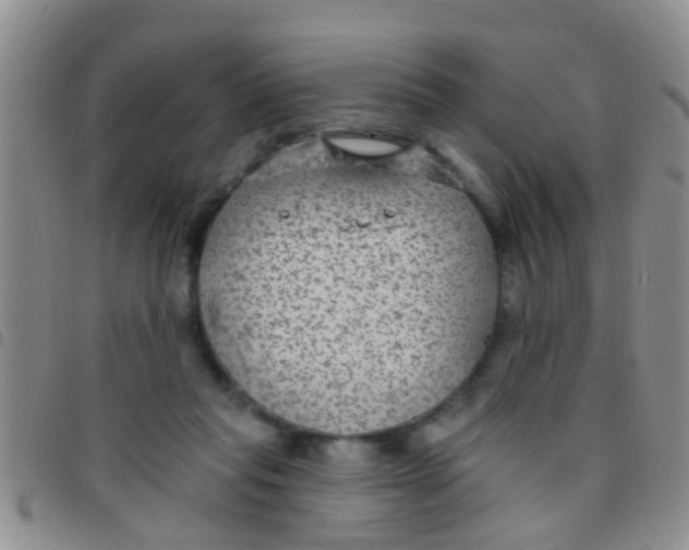 X0000097510261200803142048