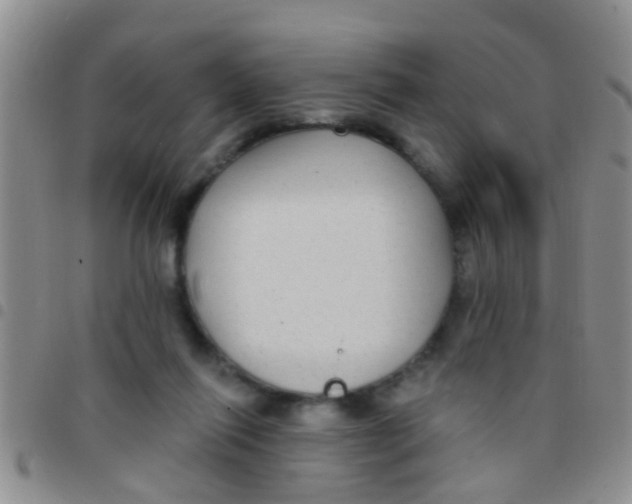 X0000097510262200803142048