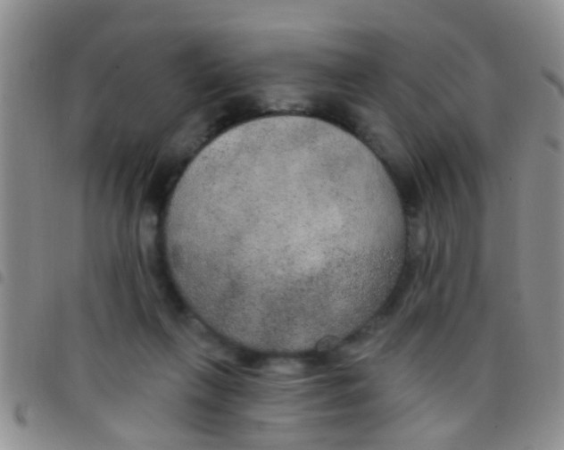 X0000097510263200803142048