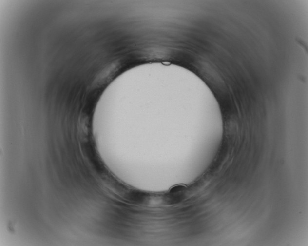 X0000097510264200803142048