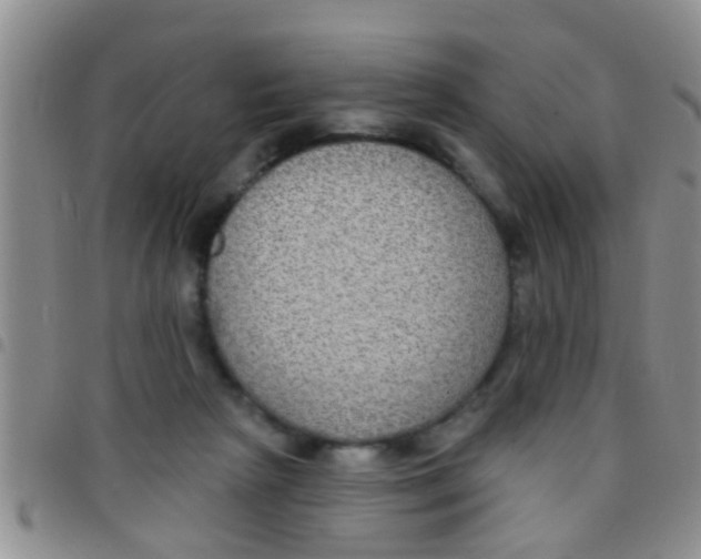 X0000097510265200803142048