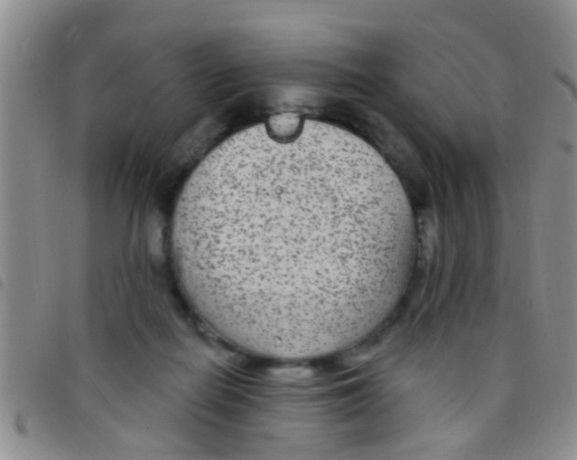 X0000097510266200803142048