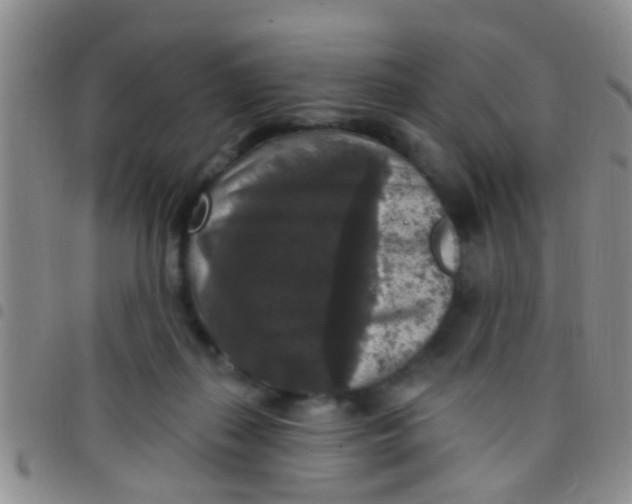 X0000097510267200803142048