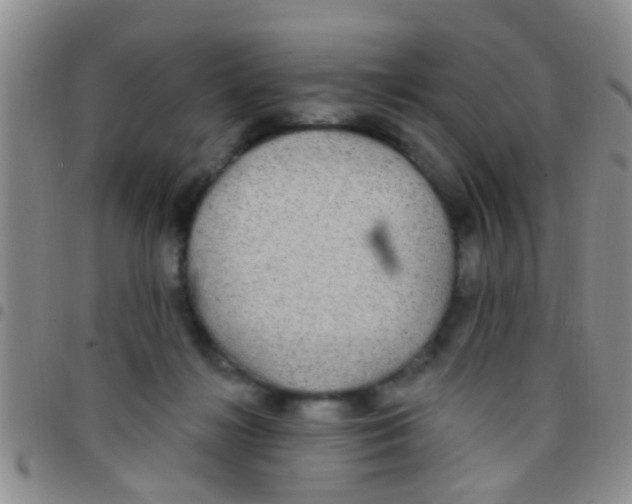 X0000097510268200803142048
